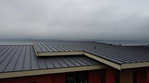 Best Rubber Roofing (EPDM, TPO)  in Queen City, TX